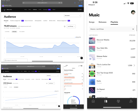 music artist marketing case study marley pitch