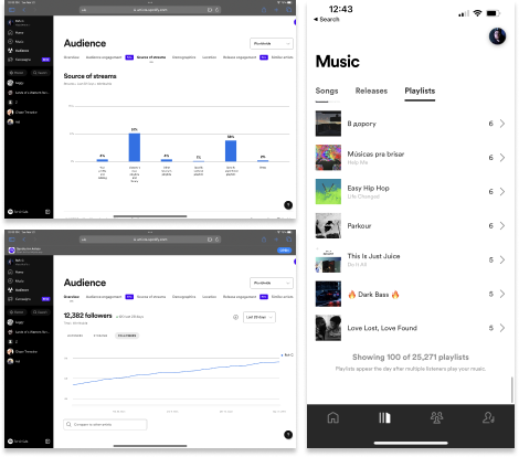 music marketing campaign case study rah c's