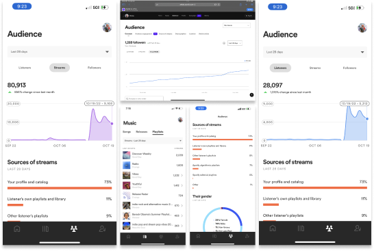 professional music marketing case study enrose